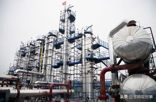 七十年代初期引進外資建立的項目之 2 化肥工業 1